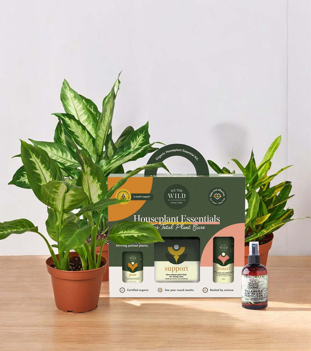 Plant Care & Accessories