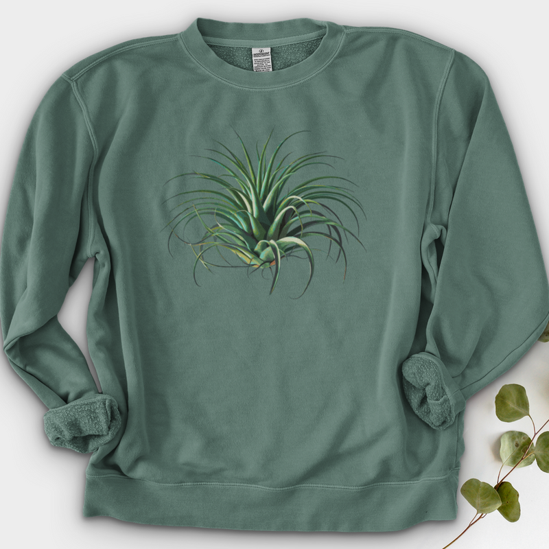Air Plant 2 Crewneck