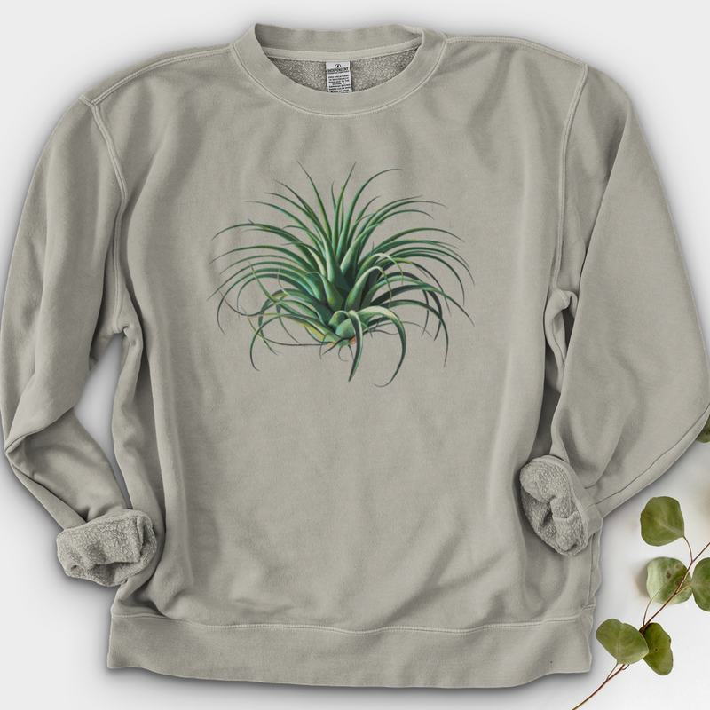 Air Plant 2 Crewneck