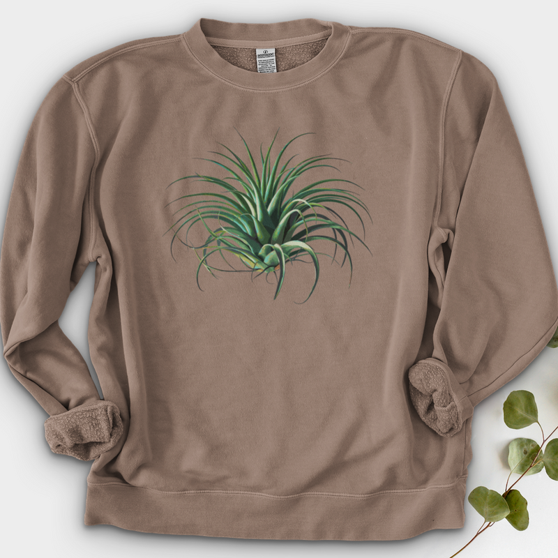 Air Plant 2 Crewneck