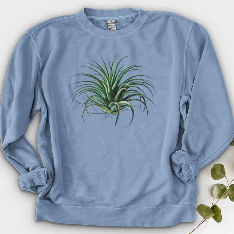 Air Plant 2 Crewneck