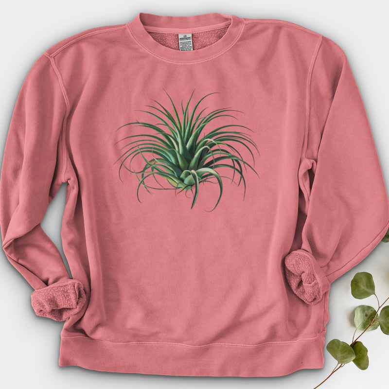 Air Plant 2 Crewneck