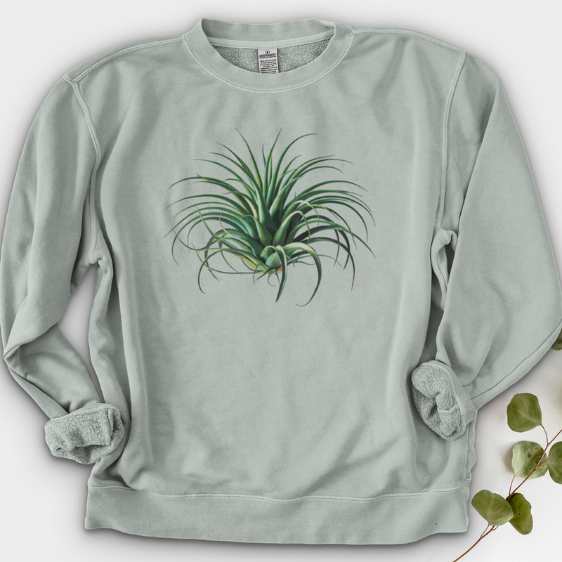 Air Plant 2 Crewneck