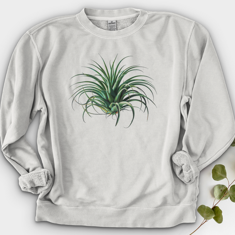 Air Plant 2 Crewneck
