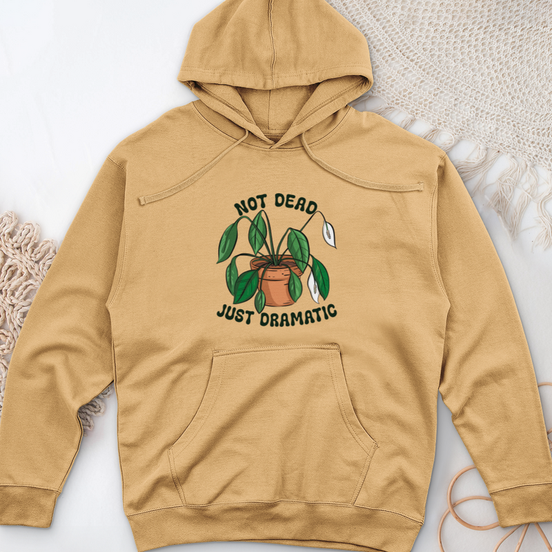 Not Dead Just Dramatic Midweight Hooded Sweatshirt