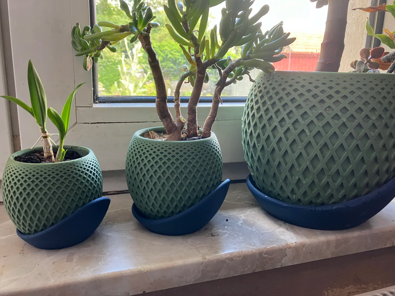 1Z Pot + Base