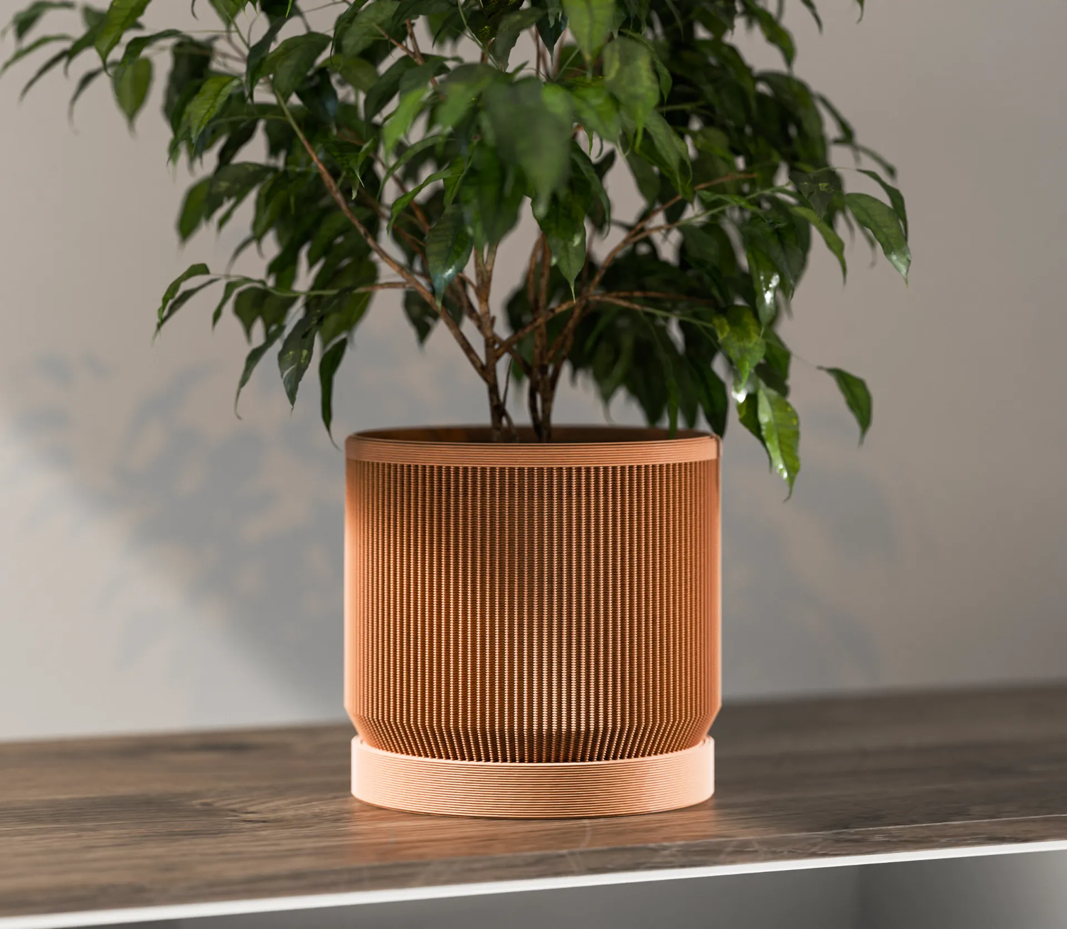 Mid Century Planter + Base