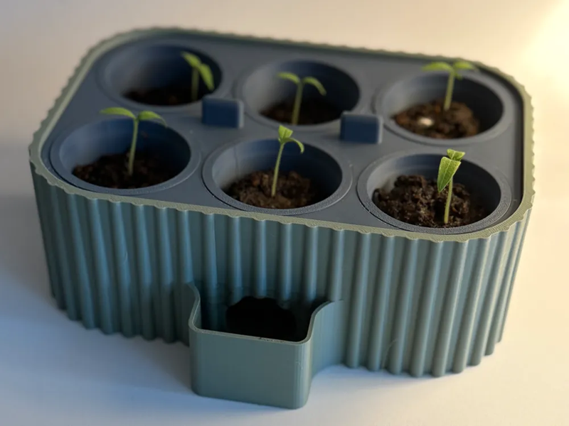 Self Watering Seed Starter