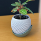 1Z Pot + Base