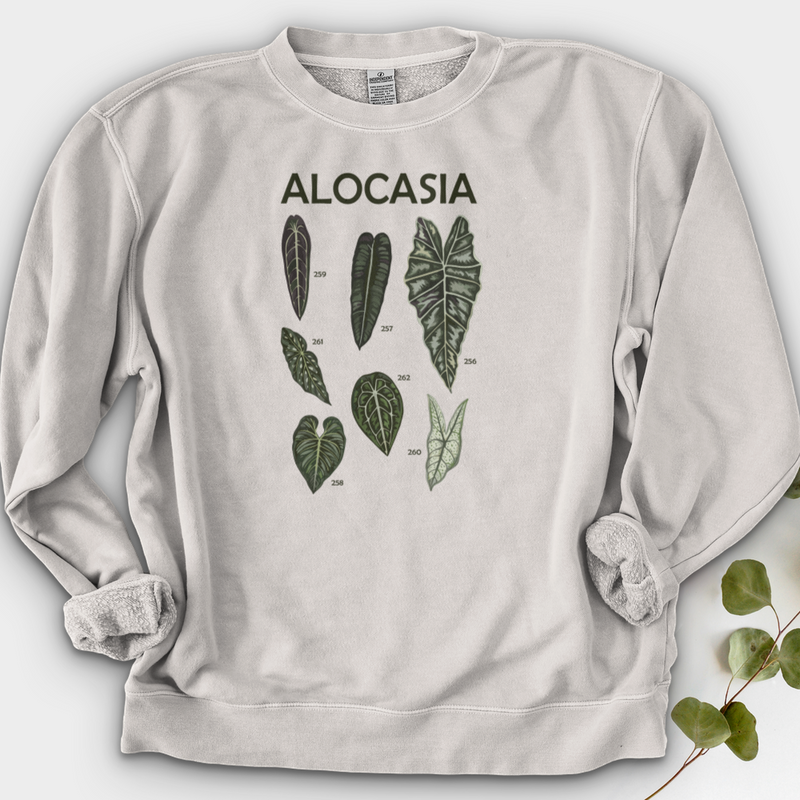 Alocasia Crewneck