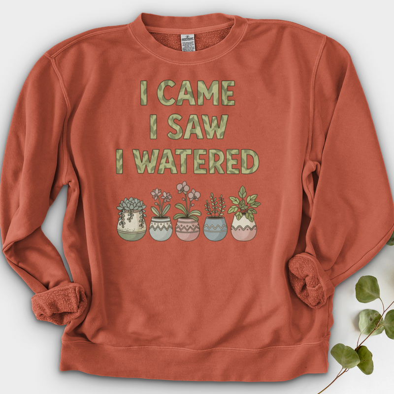 I Come I Saw I Over Crewneck