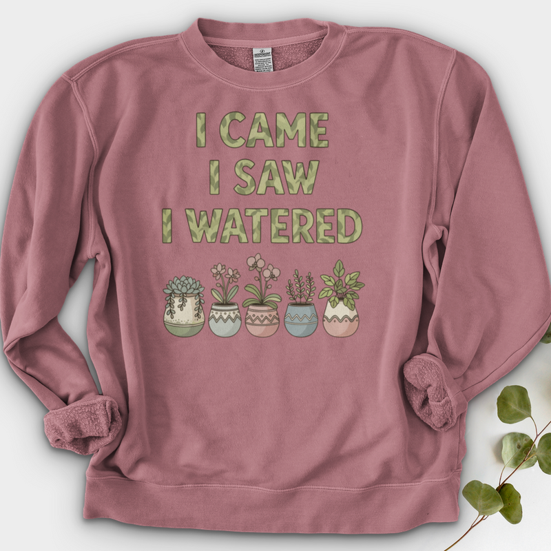 I Come I Saw I Over Crewneck