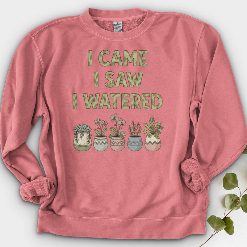 I Come I Saw I Over Crewneck