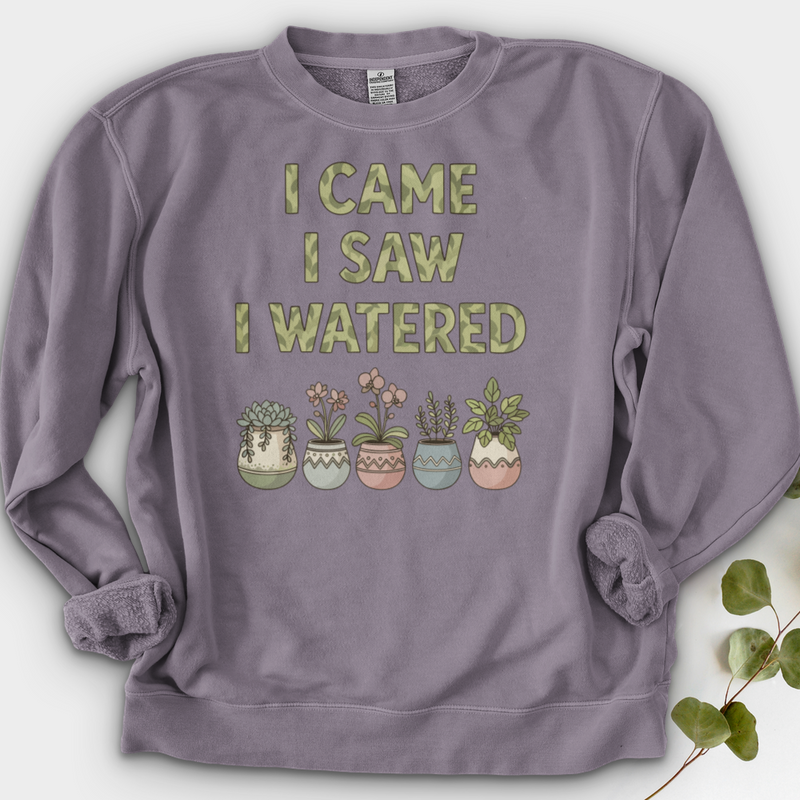 I Come I Saw I Over Crewneck