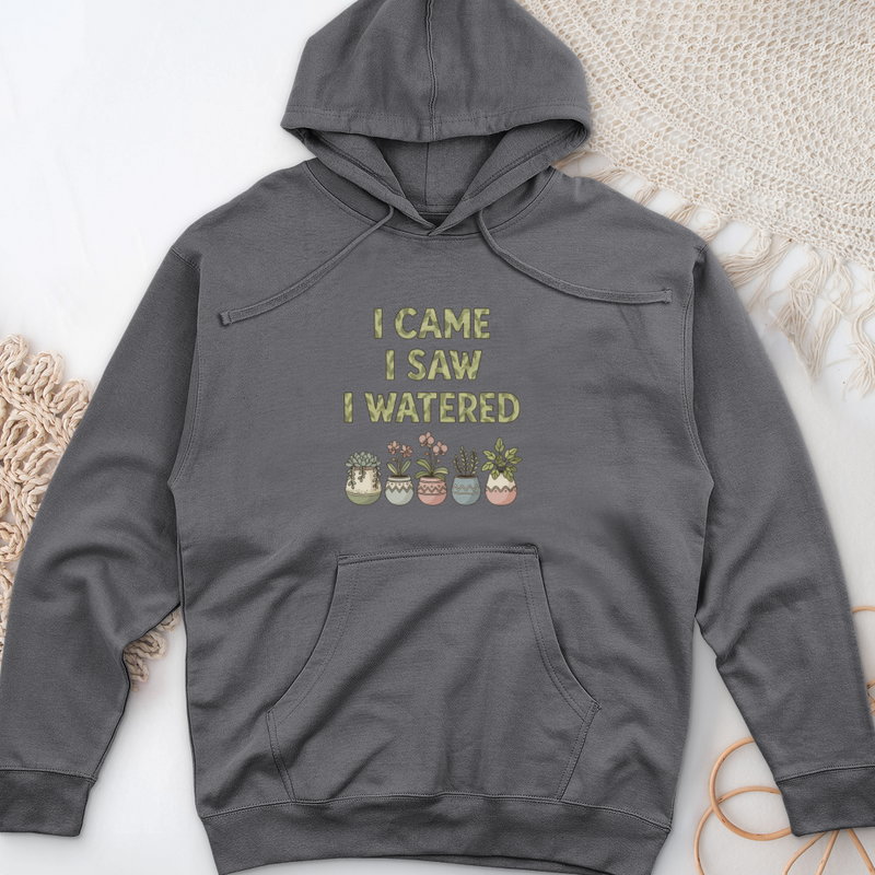 I Come I Saw I Over Midweight Hooded Sweatshirt
