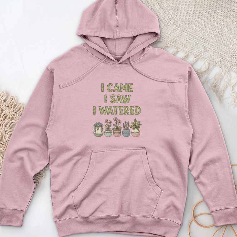 I Come I Saw I Over Midweight Hooded Sweatshirt