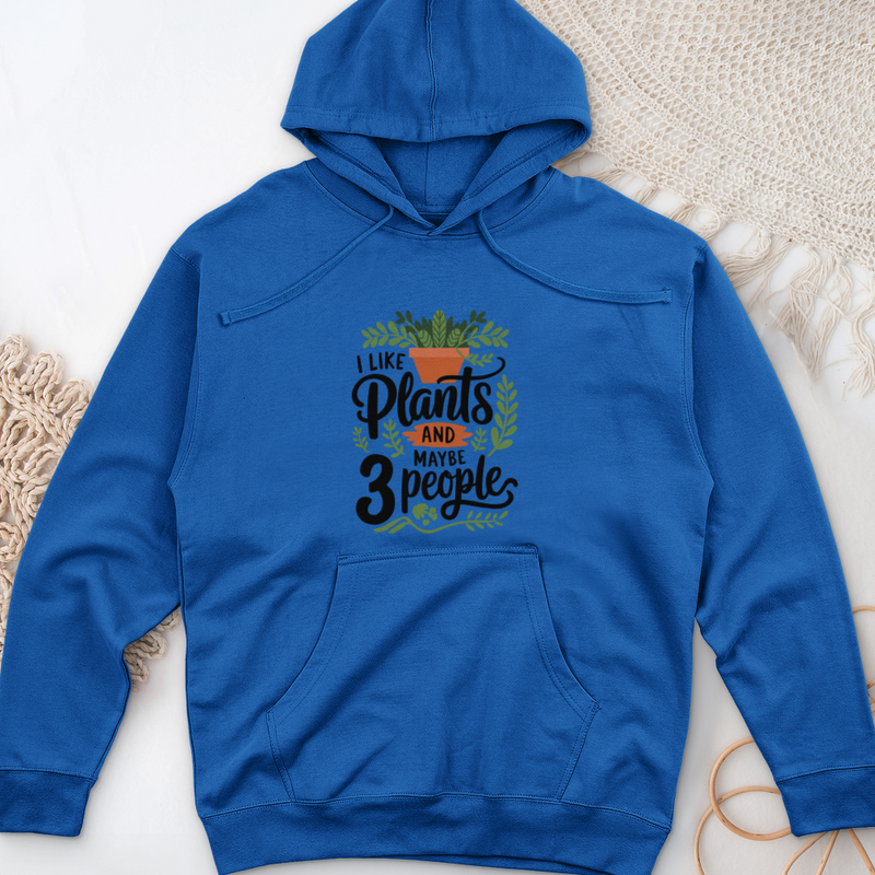 I Like Plants & Maybe 3 People Midweight Hooded Sweatshirt