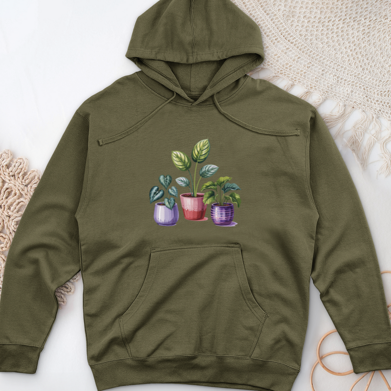 Indoor Houseplants In Decorative Pots Midweight Hooded Sweatshirt