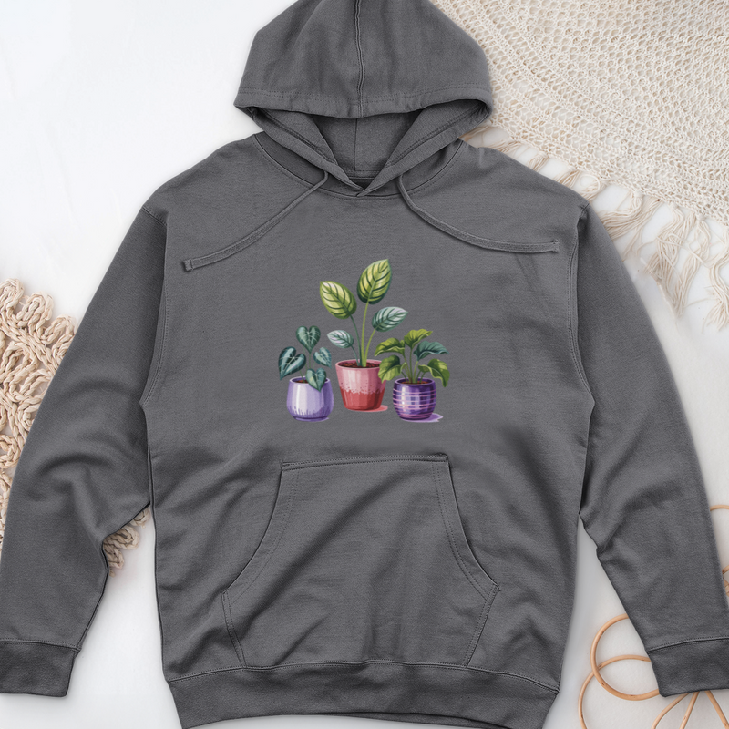 Indoor Houseplants In Decorative Pots Midweight Hooded Sweatshirt