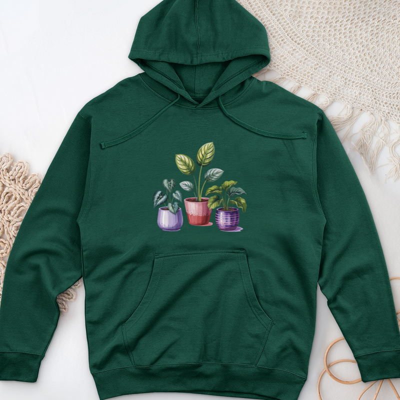 Indoor Houseplants In Decorative Pots Midweight Hooded Sweatshirt