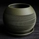 1R Pot + Base