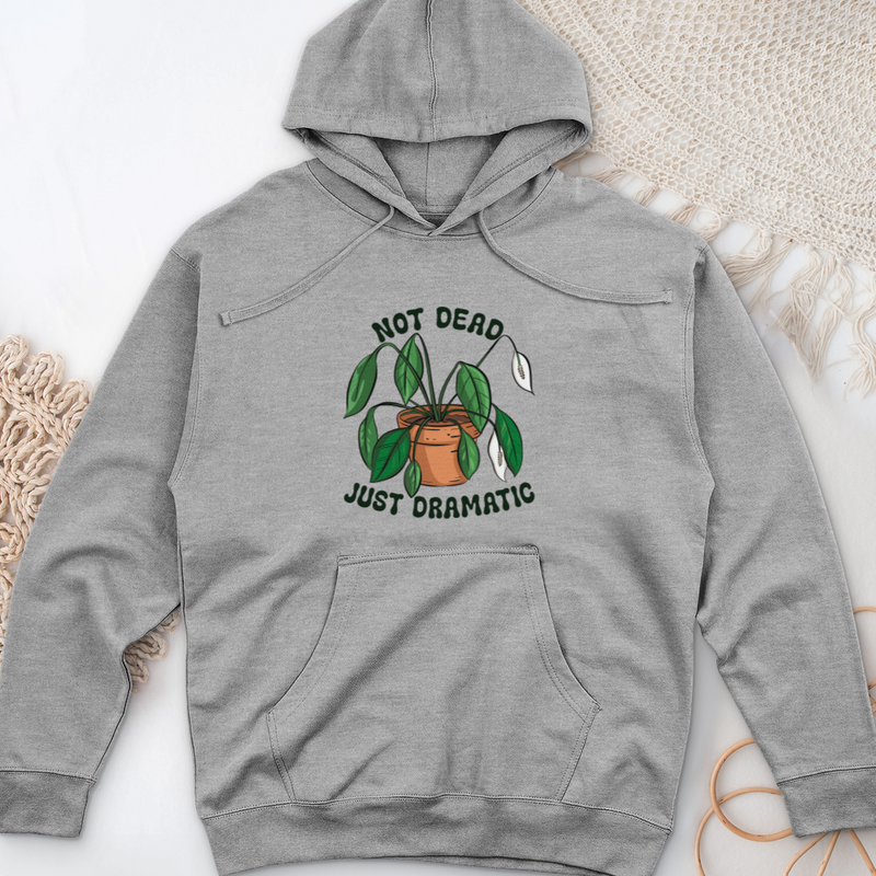 Not Dead Just Dramatic Midweight Hooded Sweatshirt