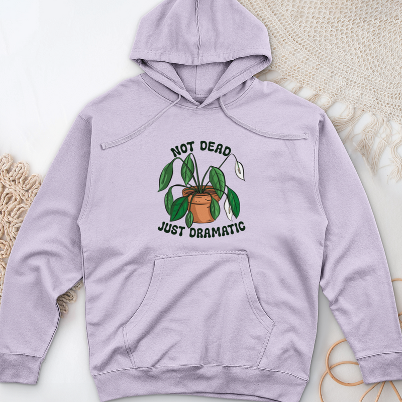 Not Dead Just Dramatic Midweight Hooded Sweatshirt