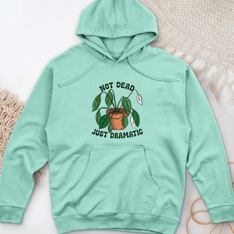 Not Dead Just Dramatic Midweight Hooded Sweatshirt