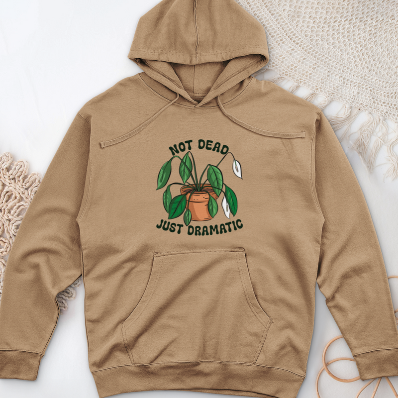 Not Dead Just Dramatic Midweight Hooded Sweatshirt