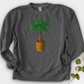 Pachira House Plant Crewneck