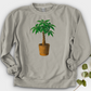 Pachira House Plant Crewneck
