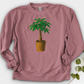Pachira House Plant Crewneck
