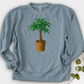 Pachira House Plant Crewneck