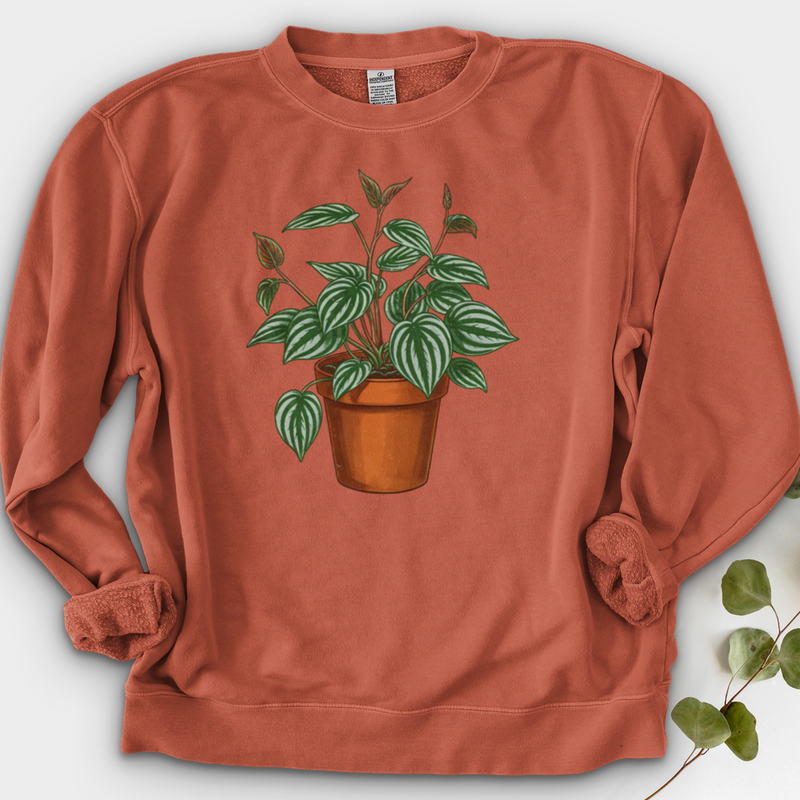 Peperomia Plant Crewneck
