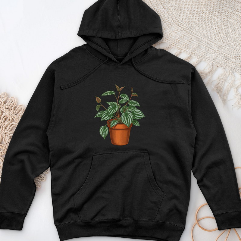 Peperomia Plant Midweight Hooded Sweatshirt
