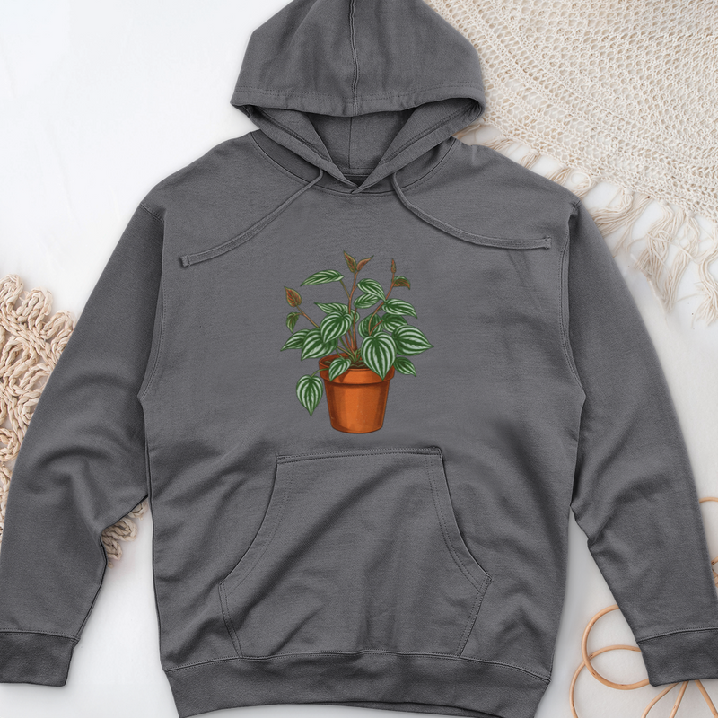 Peperomia Plant Midweight Hooded Sweatshirt