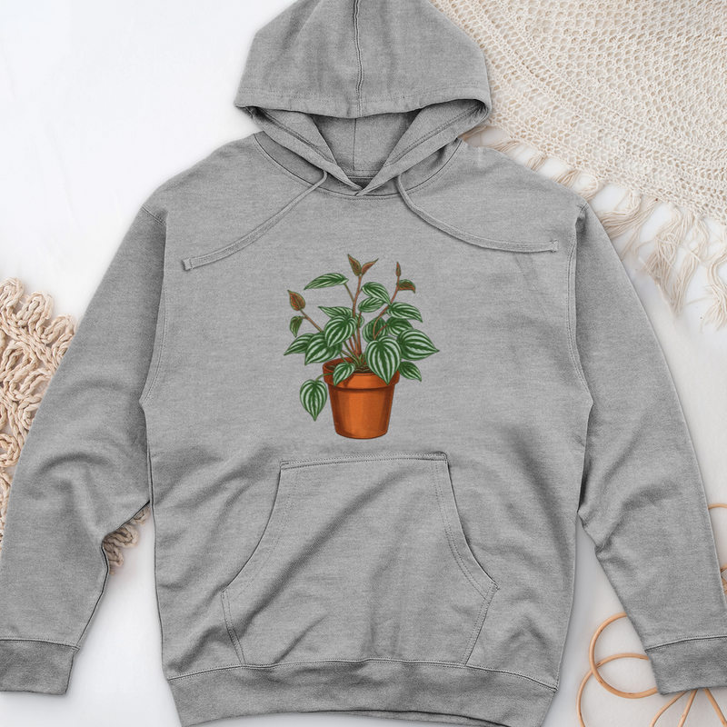 Peperomia Plant Midweight Hooded Sweatshirt