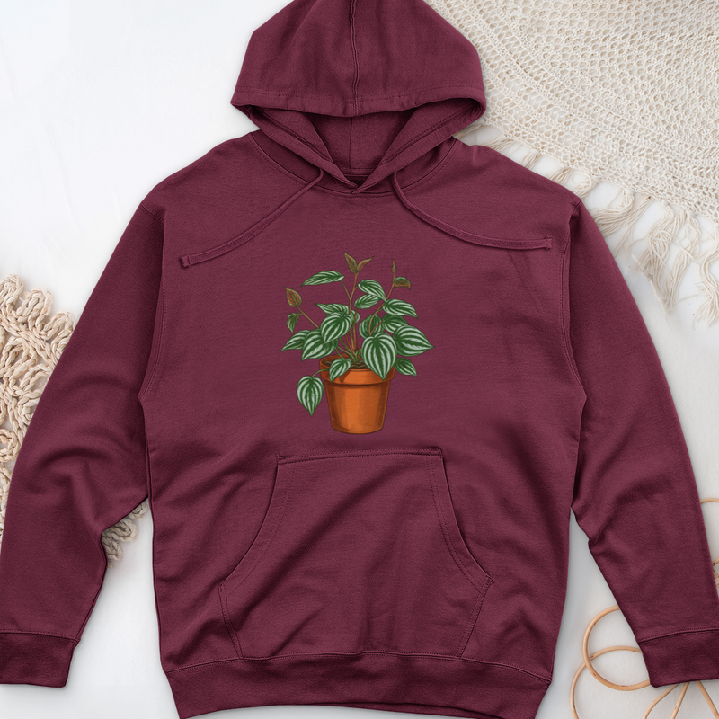 Peperomia Plant Midweight Hooded Sweatshirt