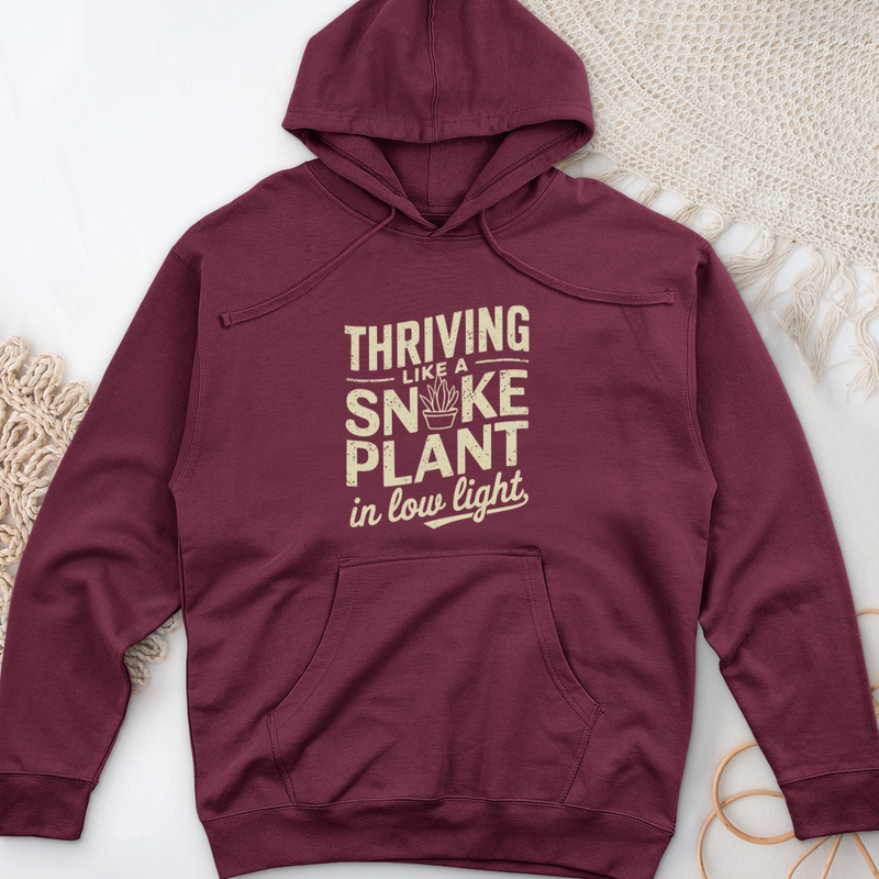Thriving like a Snake Plant in Low Light Midweight Hooded Sweatshirt