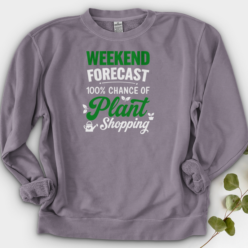 Weekend Forecast Crewneck