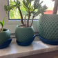 1Z Pot + Base